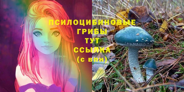ALPHA-PVP Покровск