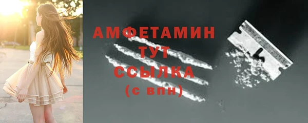 трава Аркадак