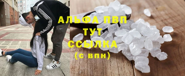 трава Аркадак