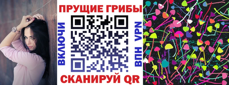 Галлюциногенные грибы Cubensis  OMG ONION  Подольск 