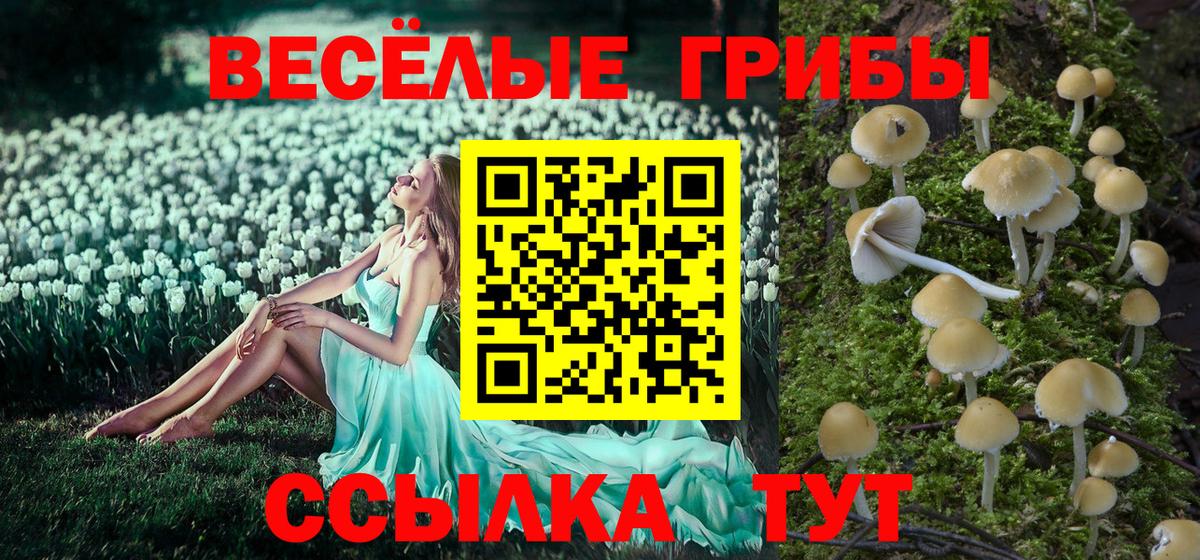 NBOMe Подольск
