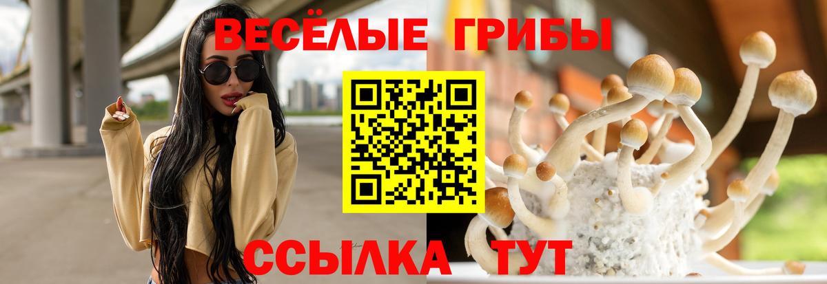 как найти наркотики  Галлюциногенные грибы мицелий  Вход с VPN  Подольск 